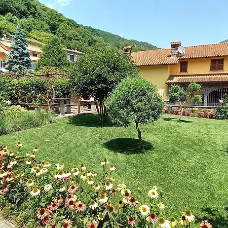 With Garden And Bbq Gravedona - Larihome A46 Lejlighed Consiglio di Rumo